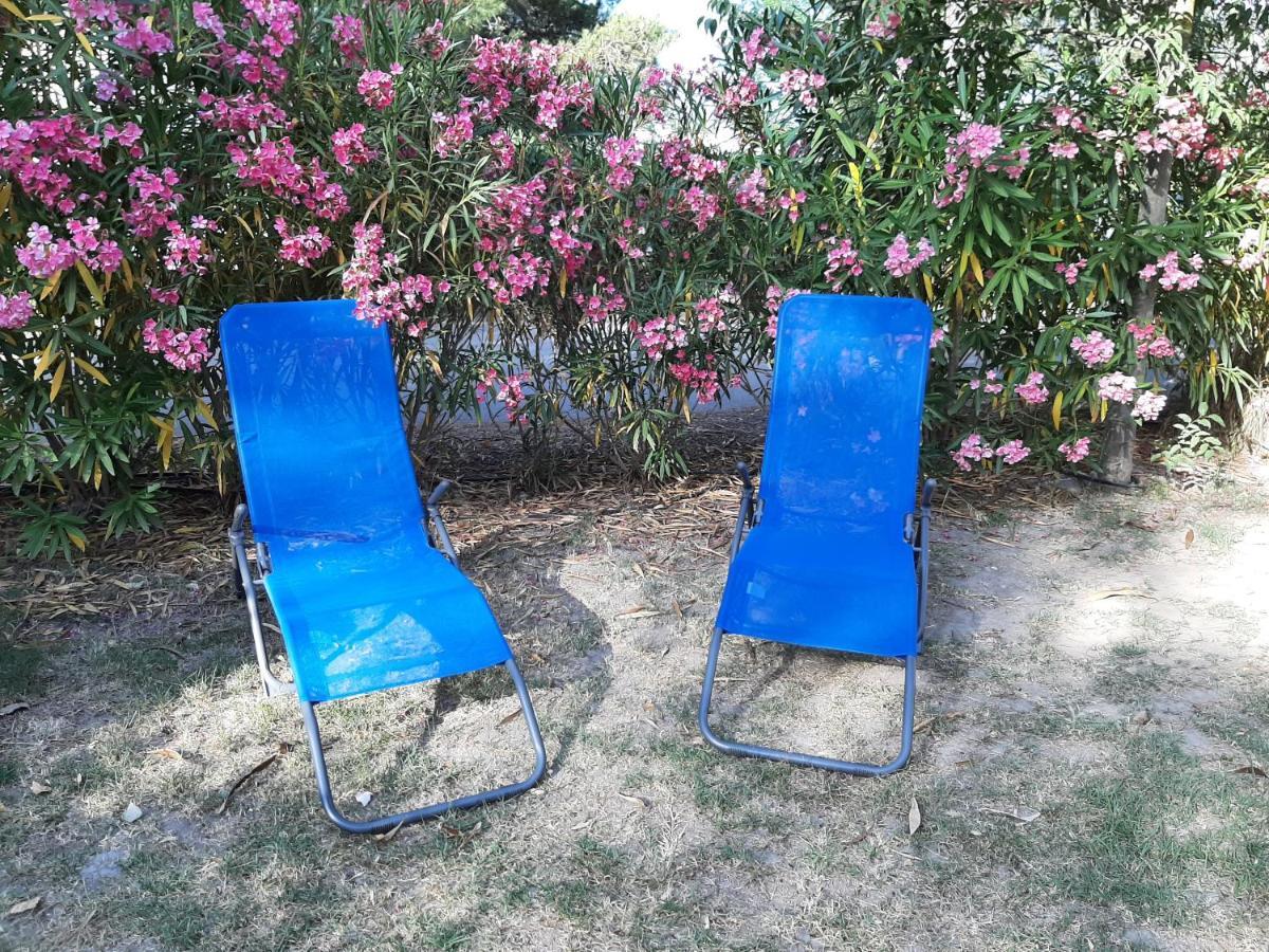 Mobile Entierement Equipe Campsite